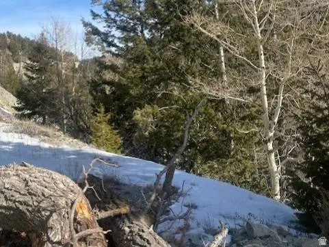 11 N 0011-0928 E #11928, Duchesne, UT 84021