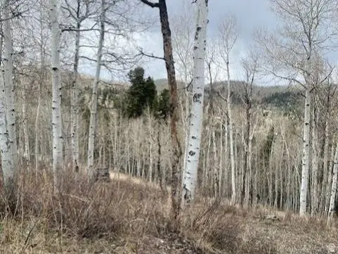 1117 W ARAPAHO DR #D140A, Coalville, UT 84017