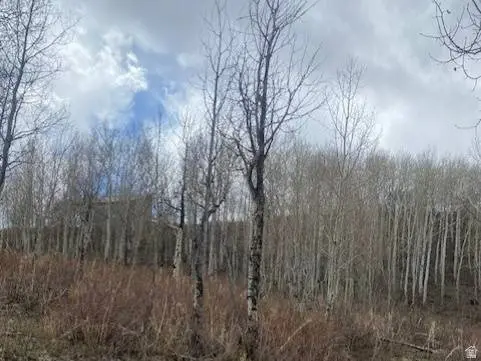 1117 W ARAPAHO DR #D140A, Coalville, UT 84017