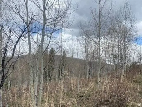 1117 W ARAPAHO DR #D140A, Coalville, UT 84017