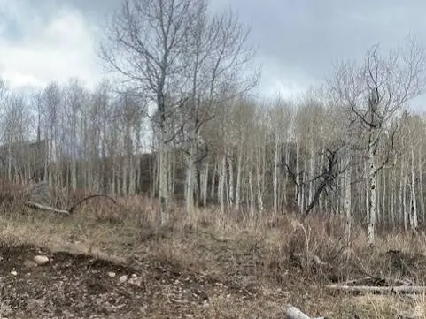 1117 W ARAPAHO DR #D140A, Coalville, UT 84017