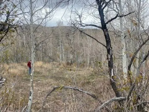 1117 W ARAPAHO DR #D140A, Coalville, UT 84017