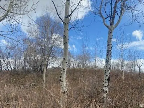 1117 W ARAPAHO DR #D140A, Coalville, UT 84017