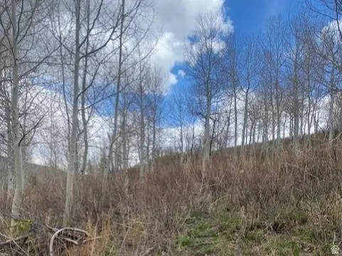 1117 W ARAPAHO DR #D140A, Coalville, UT 84017