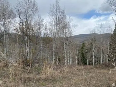 1117 W ARAPAHO DR #D140A, Coalville, UT 84017