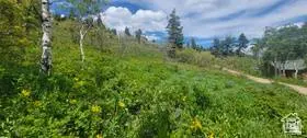 1920 W ELK RD #78, Coalville, UT 84017