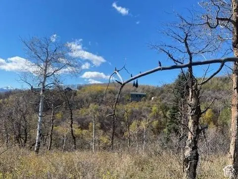 509 W ARTIST POINT WAY #53, Coalville, UT 84017