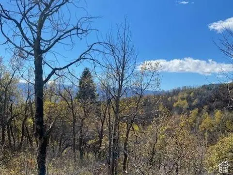 509 W ARTIST POINT WAY #53, Coalville, UT 84017