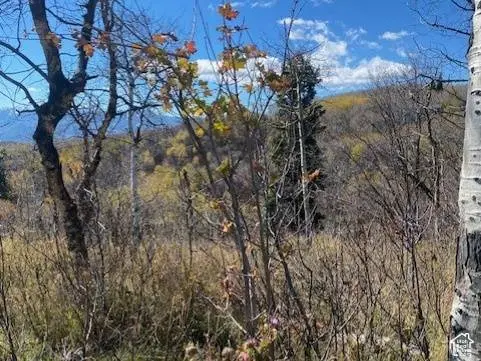 509 W ARTIST POINT WAY #53, Coalville, UT 84017