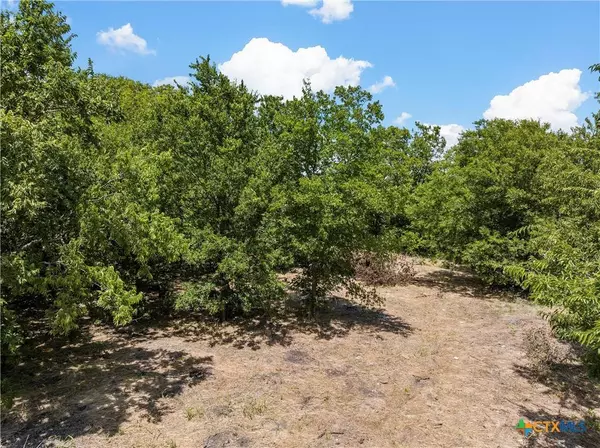 7172 NW County Road 4130, Frost, TX 76641