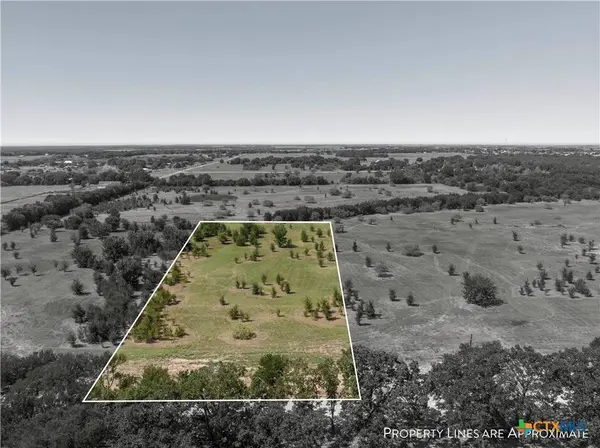 Lot 3 Buggtussle LN, West, TX 76691