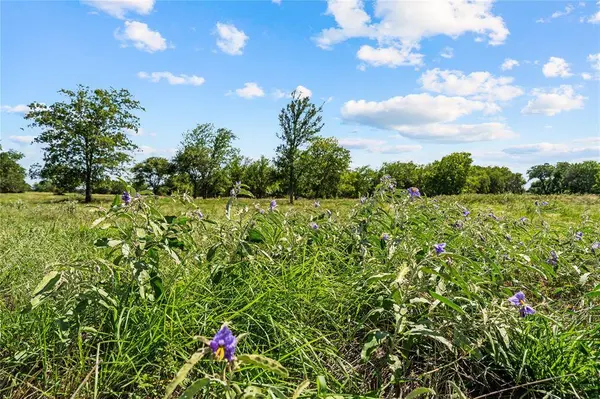 Lot 17 Lakewood Drive, Whitney, TX 76692