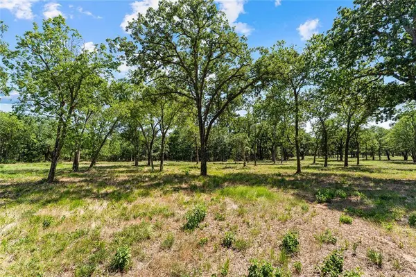 Lot 9 Lakewood Drive, Whitney, TX 76692