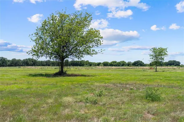 Lot 4 Lakewood Drive, Whitney, TX 76692