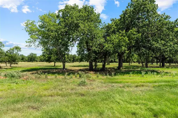 Lot 8 Lakewood Drive, Whitney, TX 76692