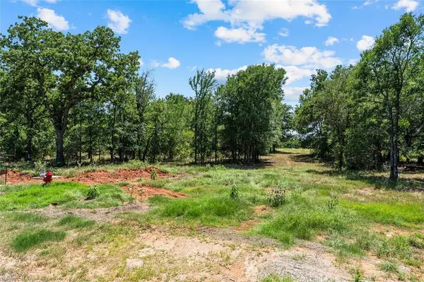 Lot 13 Lakewood Drive, Whitney, TX 76692