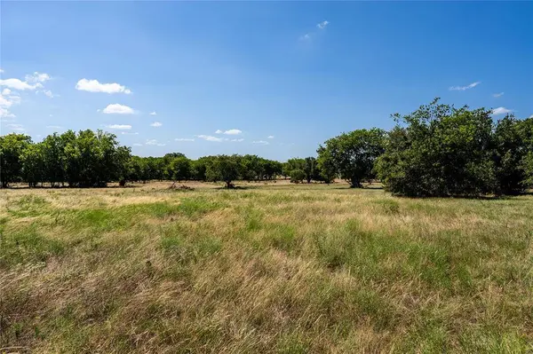 Lot 14 Lakewood Drive, Whitney, TX 76692