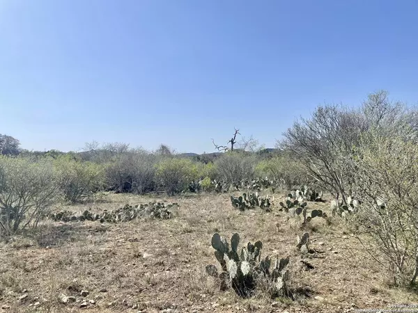 N/A (Lot 22 & 23) Brown Saddle, Bandera, TX 78003