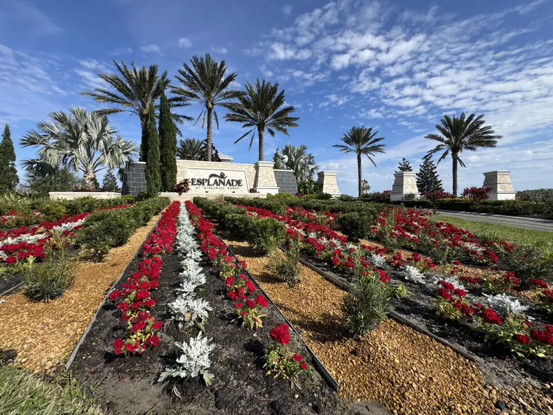 esplanade wiregrass_wesley chapel fl