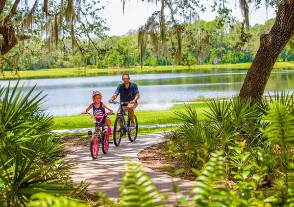 Where Do Families Move in Tampa? Top Neighborhoods for Family Life
