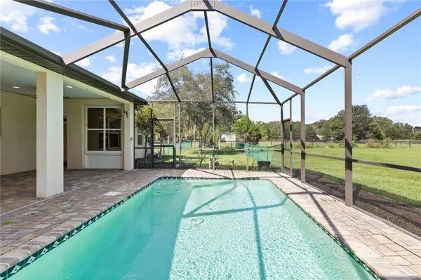 6514 LAKE IRENE DR, Land O Lakes, FL 34638