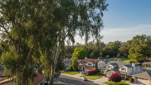 Evaluating the Area: Is Scripps Ranch in San Diego, CA Safe in 2026?,Emma Barron Lefkowitz