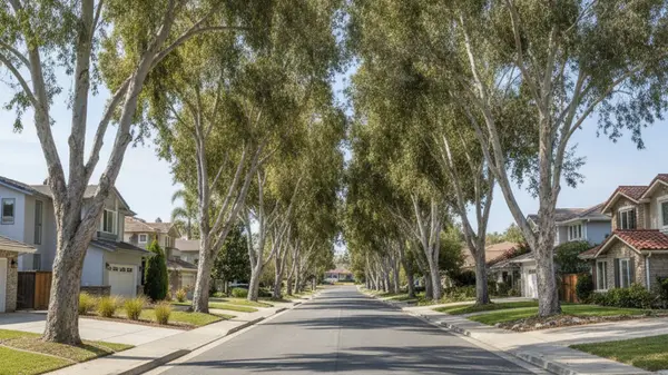 Comparing Scripps Ranch, San Diego, CA vs Rancho Bernardo, CA in 2026
