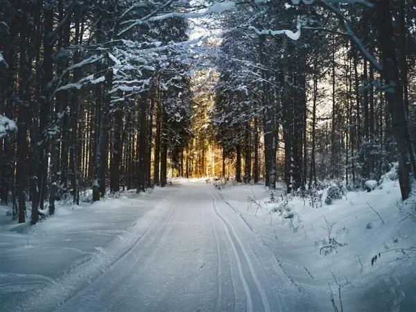 feature image of Should You Sell Your Home During the Holidays in Washington? Here's the Truth