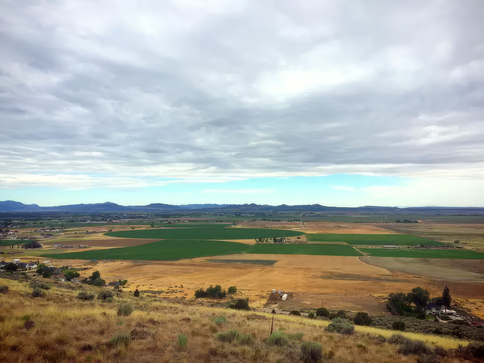 dallas-curtis-utah