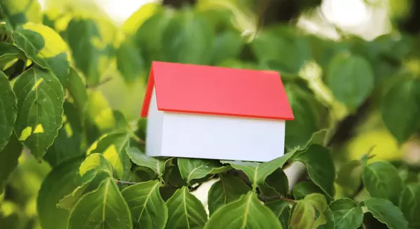 A Tale of Two Housing Markets