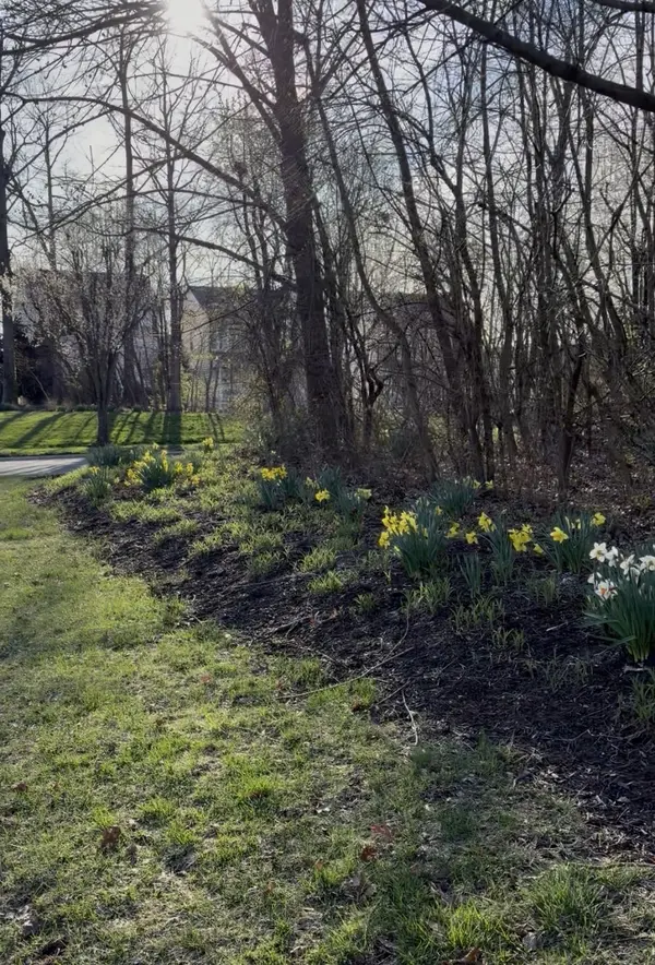 feature image of South Riding Real Estate Market Report: What Homeowners Need to Know Right Now