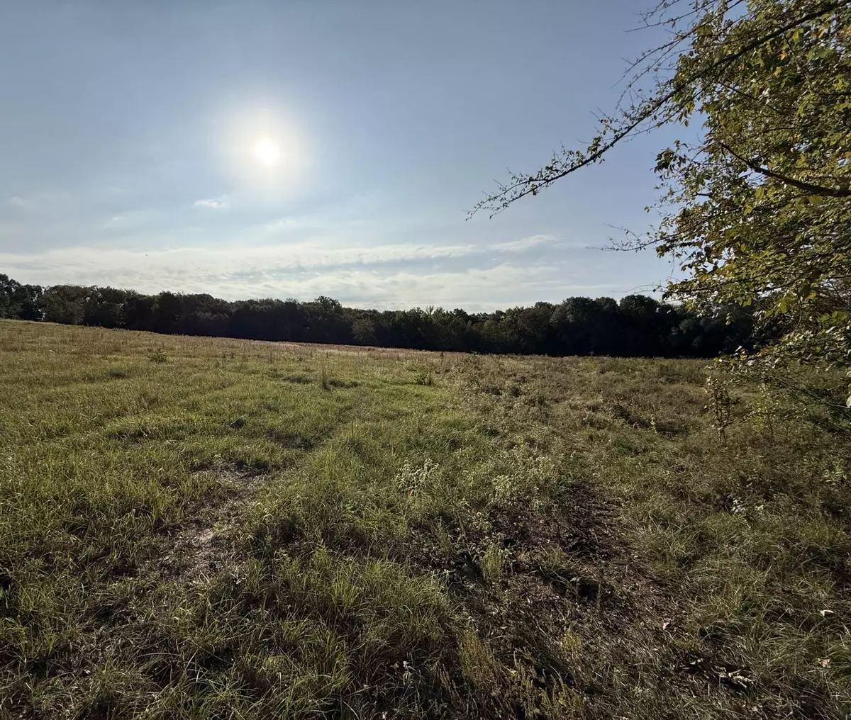 8 East TX Hunting Land for sale Fruitvale TX Van Zandt Co