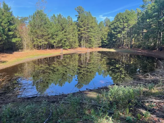 Pond on East TX Land for Sale Hawkins TX Wood County