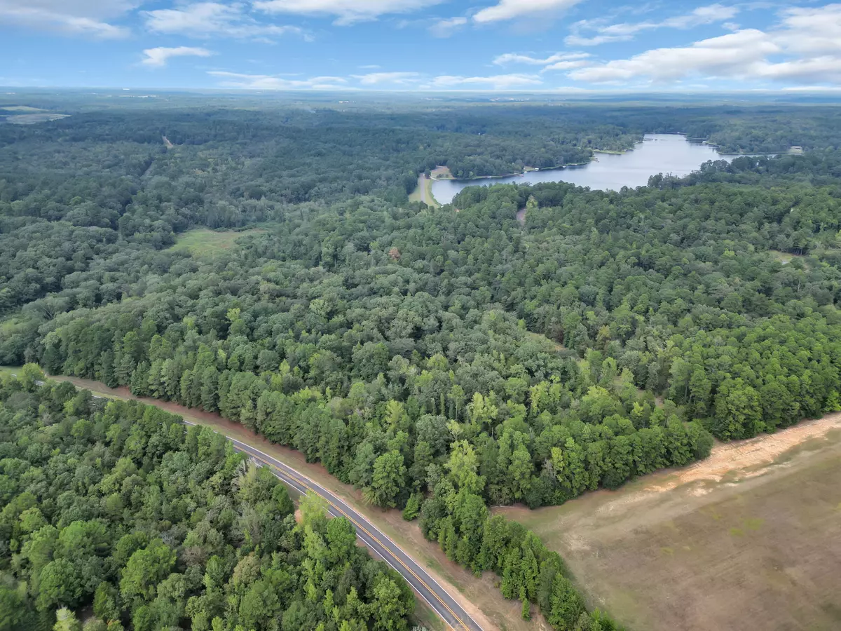 14 Eagle Landing Large Lot for sale in Avinger TX Cass Co