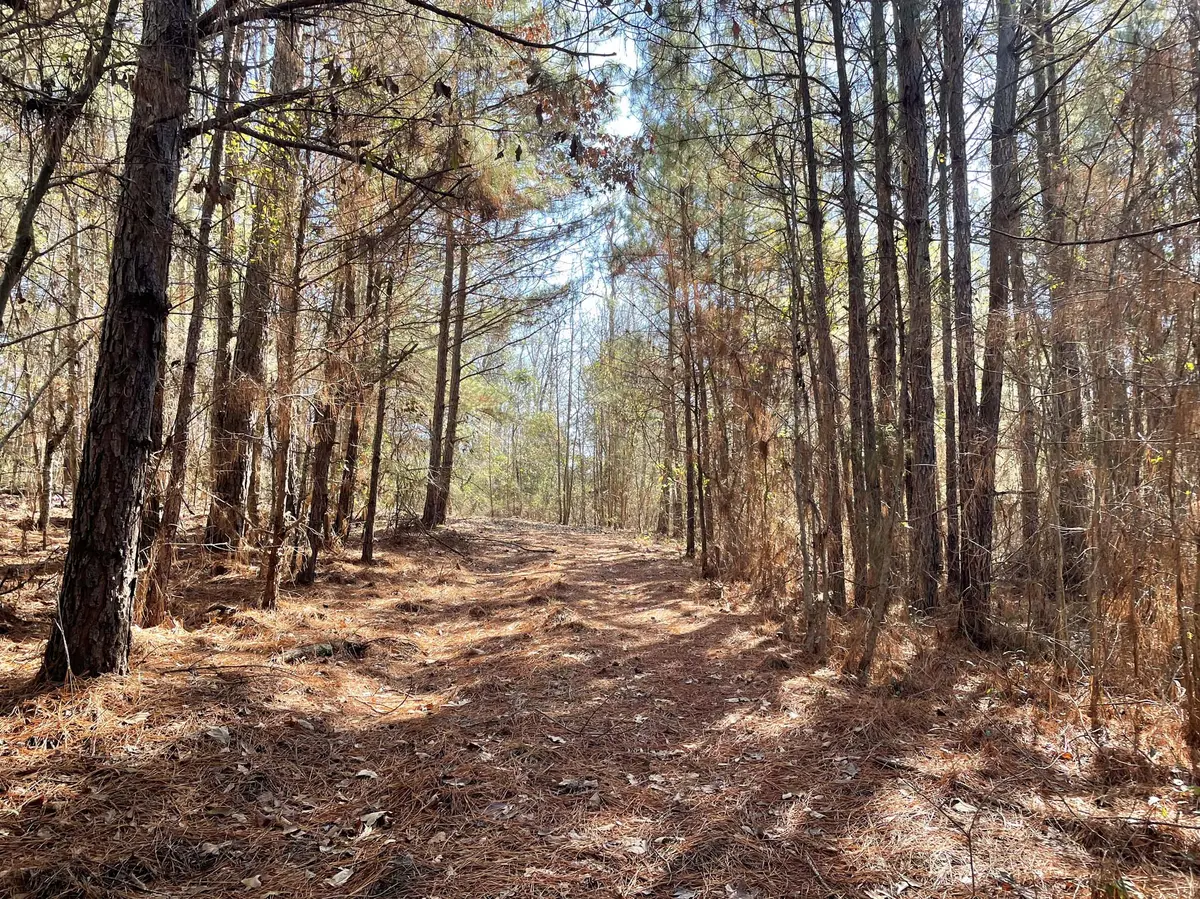 5 Vacant Land for Sale Winona TX Smith County