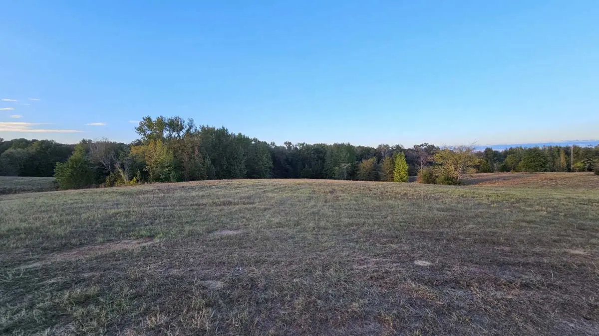 36 East TX Ranch for sale Overton TX Rusk Co