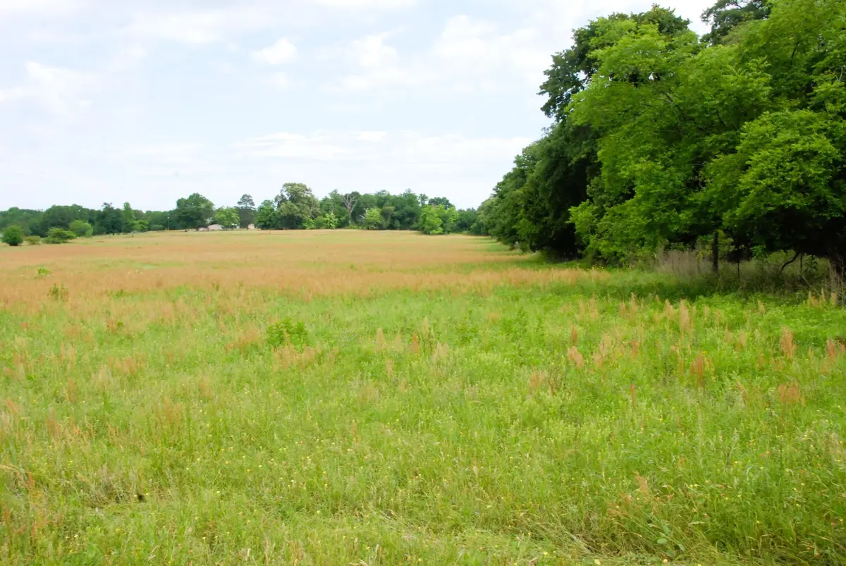 23 East Texas Land For Sale In Smith County