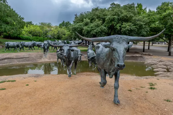 Dallas Longhorn Statues_911661447
