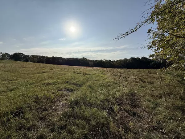 2a East TX Hunting Land for sale Fruitvale TX Van Zandt Co