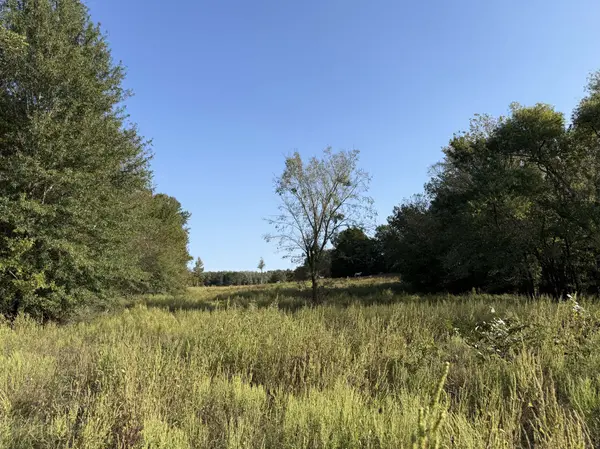 Open pastures and mature timber Fruitvale TX Land for Sale Van Zandt County