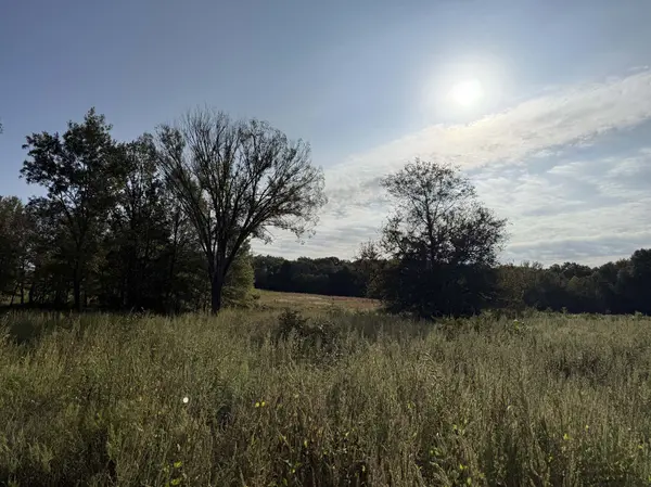 Open pastures and mature timber Fruitvale TX Land for Sale Van Zandt County