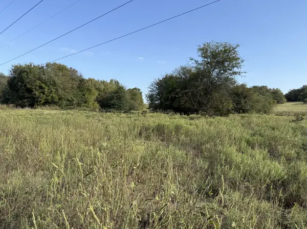 Open pastures and mature timber Fruitvale TX Land for Sale Van Zandt County