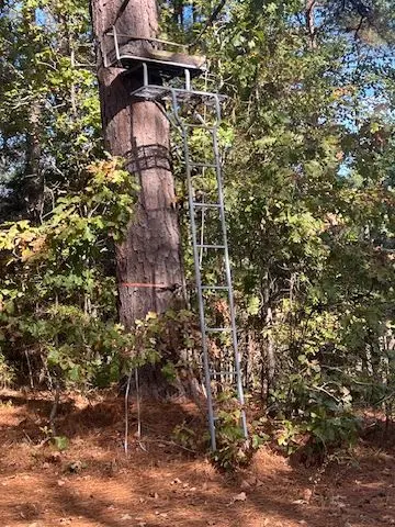 Hunting Stand on East TX Land for Sale Hawkins TX Wood County