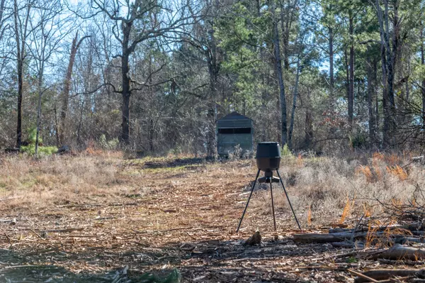 1 Tyler TX Recreational Ranch Timber Farm for Sale Ben Jackson Land Broker