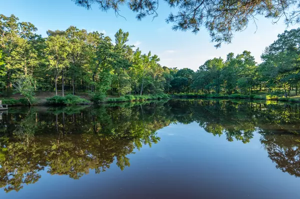 Multiple Water sources for wildlife and habitat health Quitman TX Ranch for Sale Wood County ground