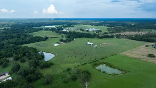 12 Panola County Texas Ranch for Sale