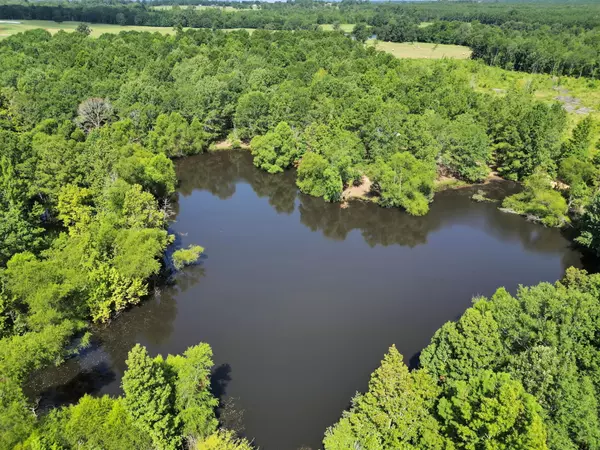 13 Troup TX Hunting Land for Sale Cherokee County Ben Jackson TX Land Broker