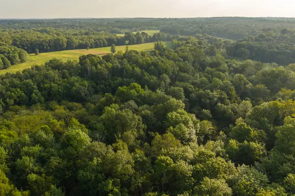 6 Aerial TX Sabine River frontage deer waterfowl hunting land for sale