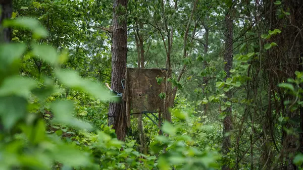 4 Recreational Land and Hunting Property For Sale In Ben Wheeler TX Van Zandt County
