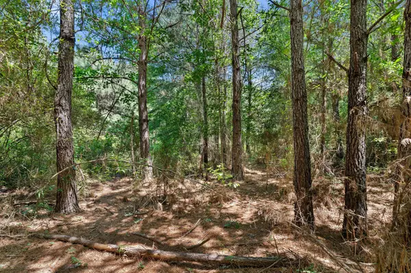 11 DeBerry TX Land for Sale Panola County United Country Legacy Land Company